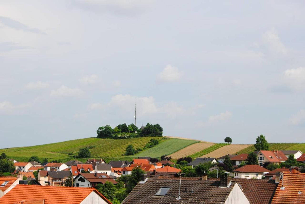 Ferienwohnung Kirchbergblick Hackenheim Ngoại thất bức ảnh